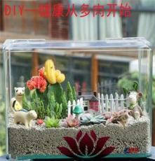 上海清绘园艺养护服务 以专业匠心，守护城市绿意之美