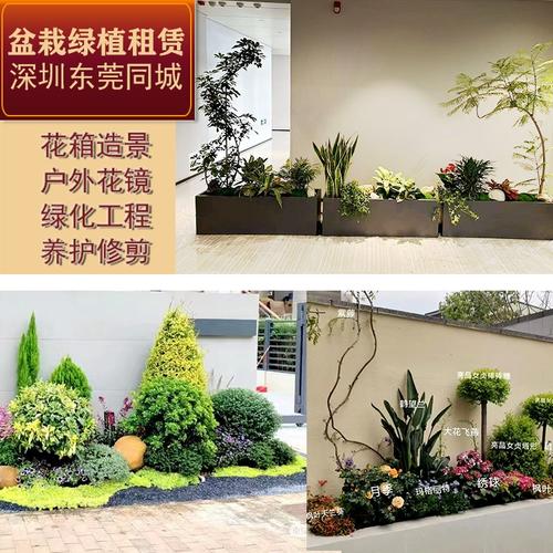 绿意盎然的鹏城与莞城 专业户外绿化工程与植物租赁服务全解析