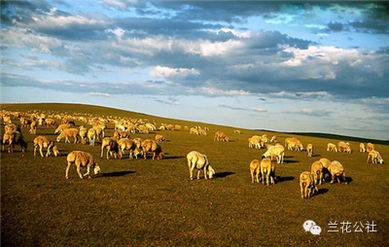 呼伦贝尔，不仅有最美的夏天，还有童话般的金秋——农林牧渔的丰盈画卷