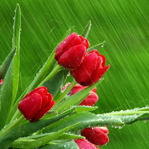 饲料厂退货流程详解