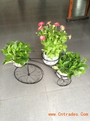 客家园艺 专业室内花木租摆，绿化植物租赁首选